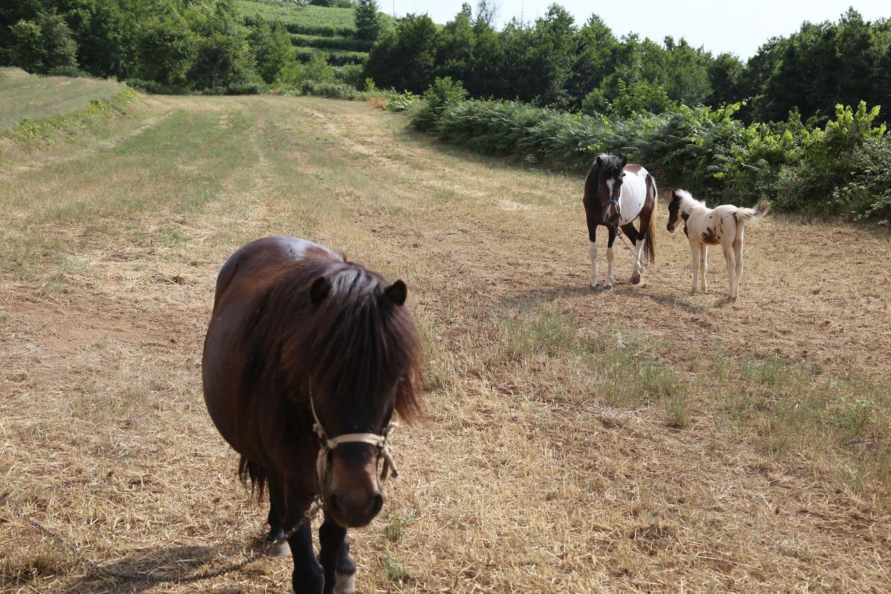 Agriturismo Pirara Sant'Angelo  المظهر الخارجي الصورة